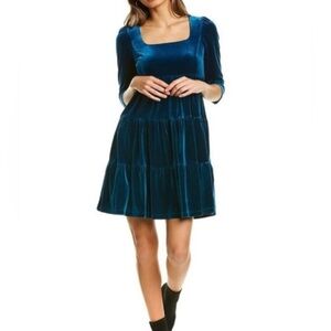 Maison Tara Turquoise Velvet Gown